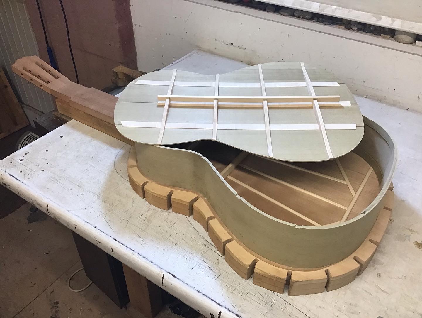 217EC33F-3597-4A1A-9630-49FF2A4E6045